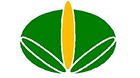 香港生物質(木材)環保有限公司